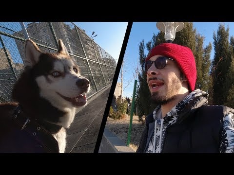 ოთხი ჭიქა კოFეინის მერე | VLOG #38