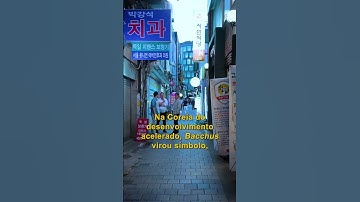 BACCHUS LADIES: A FACE INVISÍVEL DE SEUL 😔🇰🇷 #coreiadosul #jongno #vidanacoreia #coreia #jongmyo