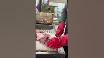 #القرآن_الكريم #آية_الكرسي #سورة_البقرة #aboneolmayiunutmayin #fishing #carpfishi #fish #cooking #