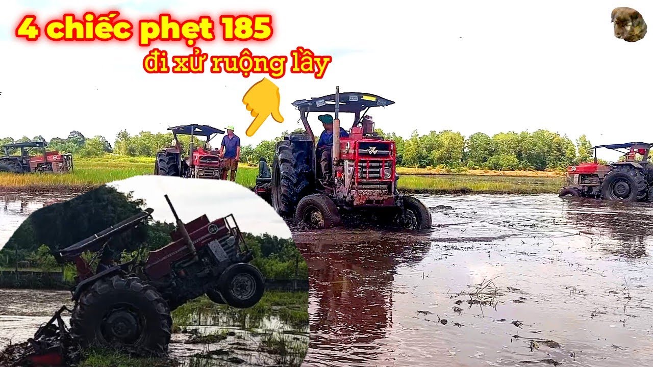 4 chiếc phẹt 185 tụ họp đi xử ruộng hoang siêu  lầy và cái kết