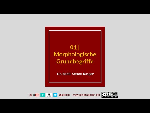 01 Grammatik: Grundbegriffe der Morphologie (Lexikon, Morphemtypen)