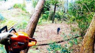 file54【師匠とRINGYOU!】三人でする小さな林業～vol.6-4『復習の◯◯◯』～