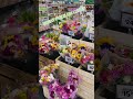 Sprouts Farmers Market! @SproutsFarmersMarket #lunchideas #suffolkcountyny #shopping #food #market