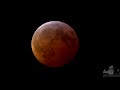 Eclipse de luna  20/01/2019 timelapse