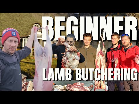 قصابی بره برای مبتدیان بخش اول گام به گام ساده هر کسی می تواند انجام دهد