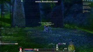 The Elephant in the Room - Aion's Biggest Problem