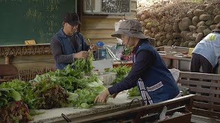 【都市農業】千甲農場圓夢記｜社區力量支持原鄉部落農業 (我們的島 第747集 2014-03-03)