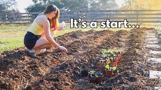 It’s DIRECT SEED SOWING day! Starting an EARLY Spring Garden #springgarden #vegetablegarden