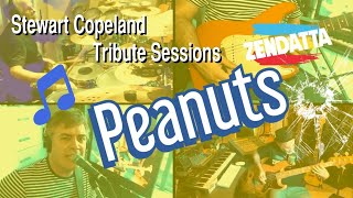 The Police - Peanuts - (Cover by Zendatta) Tribute to Stewart Copeland