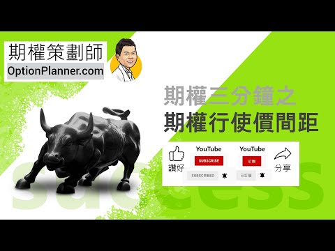 期權 | Strike | 期權行使價間距 | 期權策劃師 OptionPlanner.com