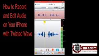 How to Record and Edit Audio on iPhone with Twisted Wave
