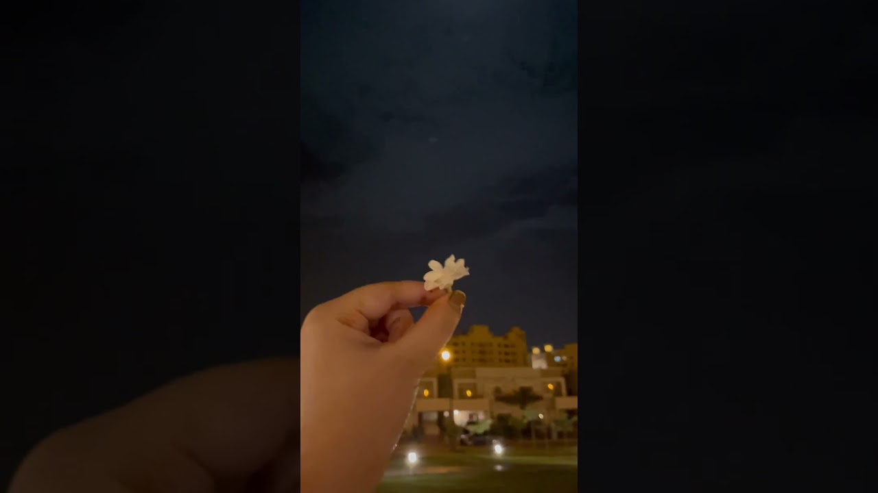 Love❤️||Bahria Town 