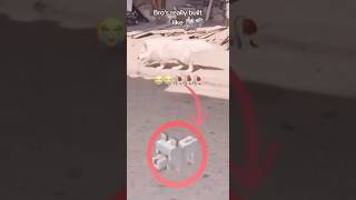That’s really a Minecraft dog#random 