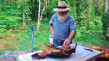 How to skin a turtle!