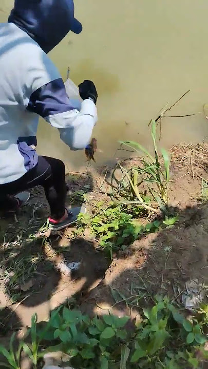 Dikala tasek beret Sungai nepa solusinya 🤣 @NOMYUDIK