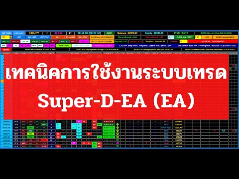 เทคนิคการใช้งานระบบเทรด Super-D-EA สัญญาณ EA