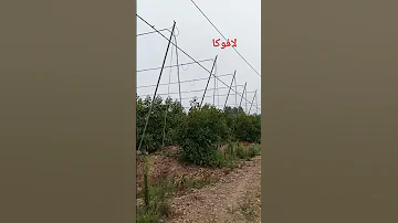 مولاي بسلهام لافوكا الجيلي اكسبلور المغرب السعودية 