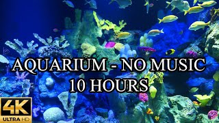 AQUARIUM 4K Video Ultra HD Coral Reef NO Music NO Ads - 10 Hours | Fish Tank Sounds For Sleep