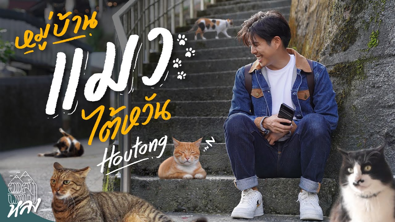 หมู่บ้านแมวโหวต้ง ไต้หวัน เหมือนหลุดมาจากการ์ตูน | อาสาพาไปหลง