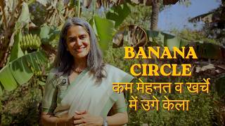 Banana Circle: बिना खाद, बिना मेहनत — केले उगाने का आसान तरीका #permaculturefarm #permaculturedesign
