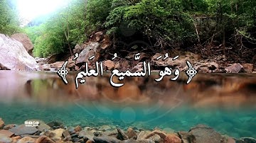 قال ربي يعلم القول في السماء والأرض وهو السميع العليم - القارئ أبوبكر الشاطري