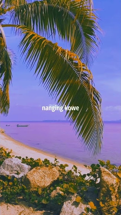 Happy Asmara - Sampun Lilo || Story Wa #fyp #story #storywa #shorts #happyasmara #tiktok