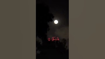 يا ليتها كانت القاضية ياسر الدوسري -سورة الحاقة