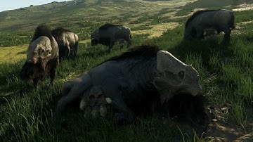 Star Citizen 4.0 EPTU | Advanced HUD and Quasi Grazer Animation Update