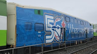 (Nice Driver) (Old Cab Car) GO 1022 - 615 With 256 Departing Bronte 