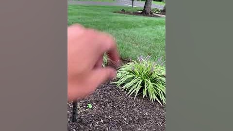 Low Voltage Landscape Lighting Transformer Keeps Tripping