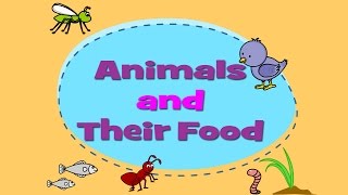 Animals and Their Food - Learn About Animals For Kids - YouTube