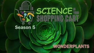 Science in your Shopping Cart | Season 5: WonderPlants screenshot 5