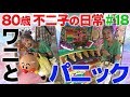 『ワニとパニックになりました』80歳YouTuber不二子の日常 #18