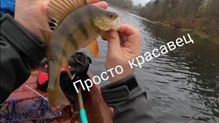 Рыбалка на отводной поводок, первый опыт и шашлычок.