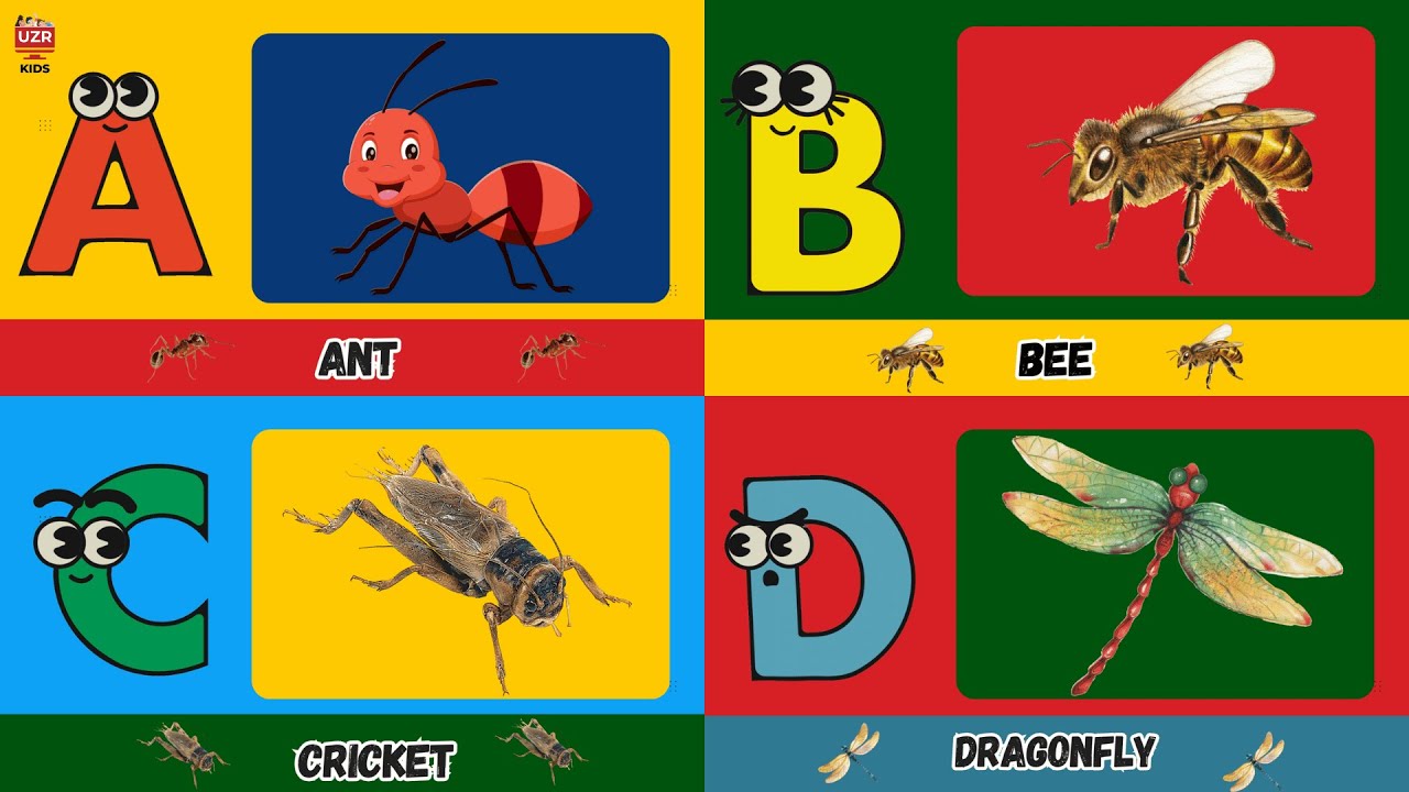 🐞 ABC Insects Song for Kids | A to Z Bug Learning with Rhymes | UZR ...