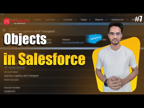 Objects in Salesforce