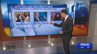 PIX11 mayoral poll: Progressives rally behind Wiley
