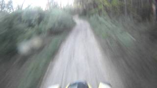 Shineray 300cc