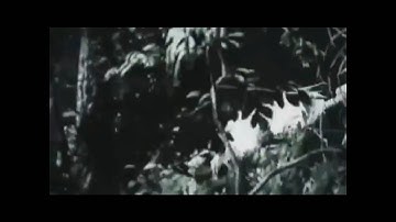 Gears of War 3 - Teaser Trailer FULL [HD]