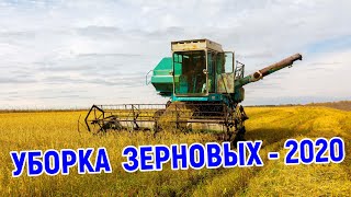 Уборка зерновых - 2020