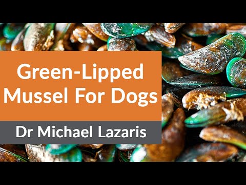 Video: Green Lipped Mussels Para Sa Mga Aso: Paano Sila Makakatulong