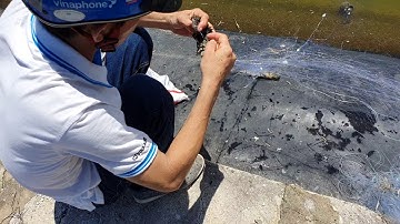 ĐÁNH LƯỚI BẮT CÁ RÔ PHI NƯỚC MẶN ĐỘ MẶN 35%, ĐÁNH BẮT CÁ RÔ PHI KHỦNG NHẤT THẾ GIỚI p2