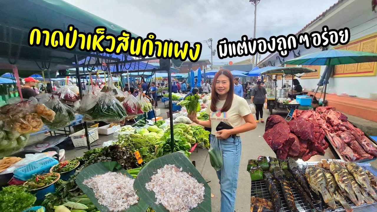 พาเดินกาดบ้านๆชุมชนป่าเห็ว ผักหวาน ไข่มดแดง อ่อมเนื้อ ลาบดิบ ข้าวแกง ให้เยอะถูกๆ
