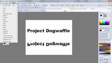 Apply mirror (to animation) - new in PD Pro 7.2