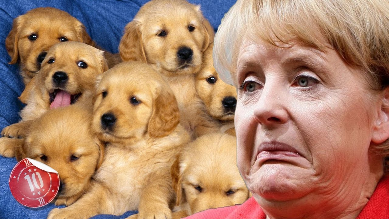 Top 10 Things You Didn't Know About Angela Merkel - YouTube