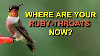 Your Ruby-throated Hummingbirds Migrated Here