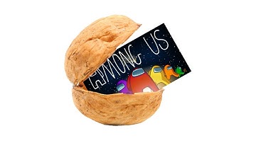 Among Us in a Nutshell