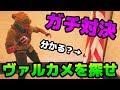 隠されたカメラを探せ!これ見つけられる??【R6S】