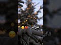 حسره وندم