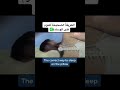 الطريقة الآمنة للنوم على الوسادة النوم الصحي 